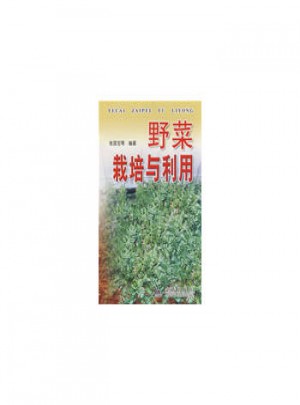 野菜栽培與利用