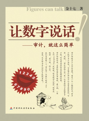讓數(shù)字說話—審計(jì),就這么簡單