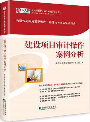 建設(shè)項目審計操作案例分析