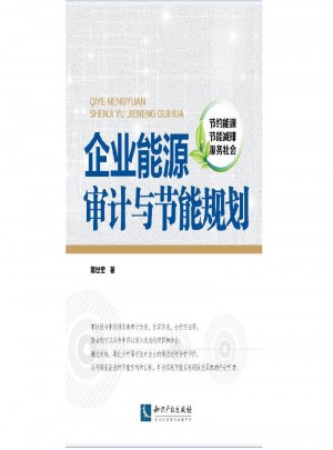 企業能源審計與節能規劃