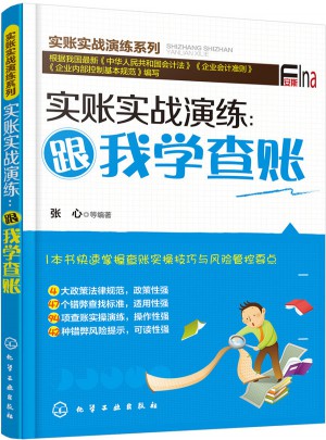 實賬實戰演練：跟我學查賬