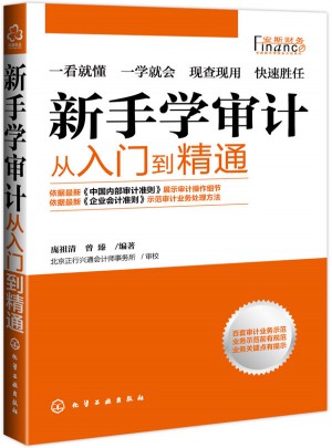 新手學(xué)審計：從入門到精通