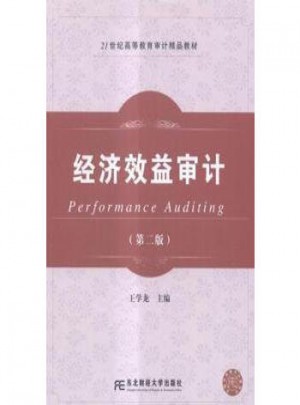 經(jīng)濟效益審計（第二版）