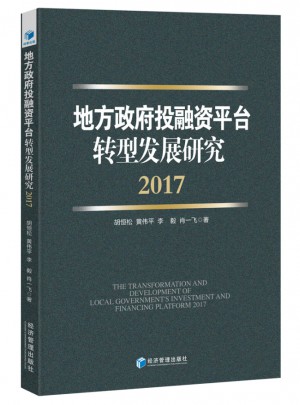 地方政府投融資平臺(tái)轉(zhuǎn)型發(fā)展研究（2017）