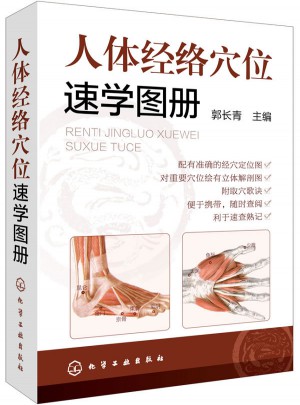 人體經絡穴位速學圖冊