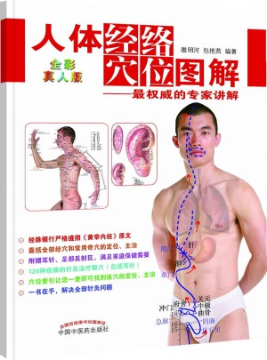 人體經(jīng)絡(luò)穴位圖解