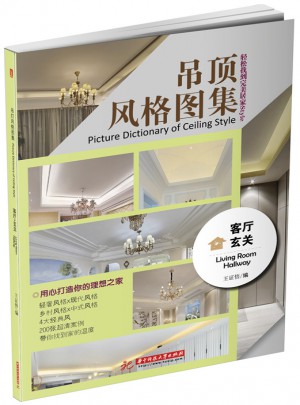 吊頂風格圖集:客廳 玄關