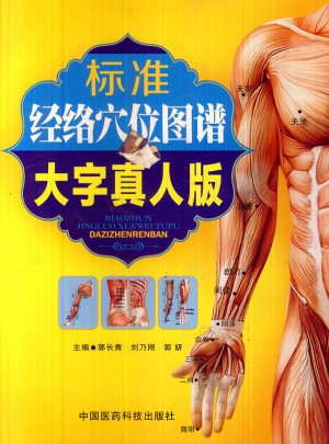 標(biāo)準(zhǔn)經(jīng)絡(luò)穴位圖譜（大字真人版）