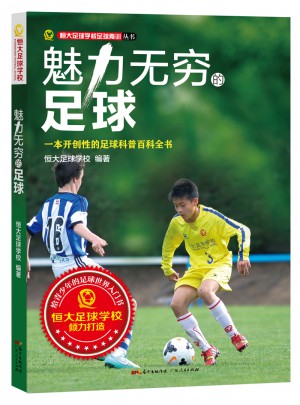 魅力無窮的足球：一本開創性的足球科普百科全書