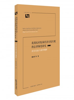 我國農(nóng)村集體經(jīng)濟有效實現(xiàn)的法律制度研究：村莊經(jīng)驗與域外視野
