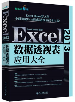 Excel 2013數據透視表應用大全