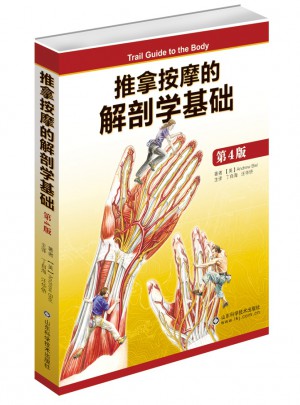推拿按摩的解剖學(xué)基礎(chǔ)（第4版）