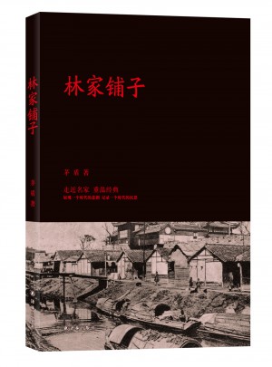 林家鋪?zhàn)? />
								</div>
								<div   id=