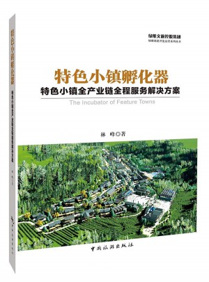 特色小鎮(zhèn)孵化器：特色小鎮(zhèn)全產(chǎn)業(yè)鏈全程服務(wù)解決方案