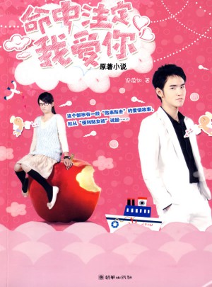 命中注定我愛你（原著小說）