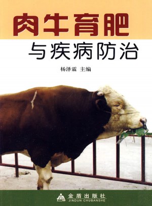 肉牛育肥與疾病防治