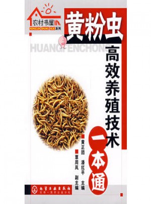 農村書屋系列黃粉蟲高效養殖技術一本通