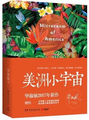 美洲小宇宙