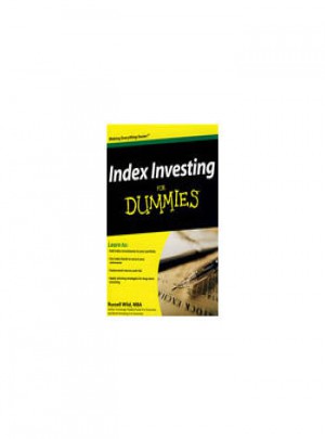 Index Investing For Dummies指數(shù)投資指南