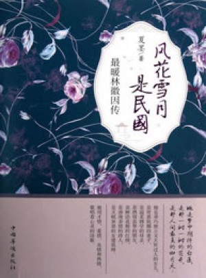 風(fēng)花雪月是民國（最暖林徽因傳）