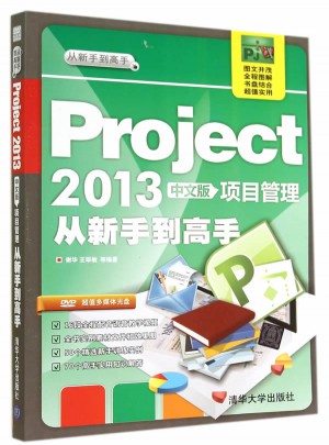 Project 2013中文版項目管理 從新手到高手（配光盤）（從新手到高手）