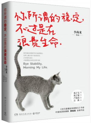 你所謂的穩定，不過是在浪費生命