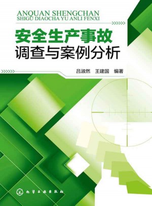 安全生產事故調查與案例分析(全行業各類型安全生產案例剖析)