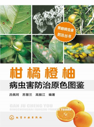 果樹病蟲害防治治叢書--柑橘橙柚病蟲害防治原色圖鑒