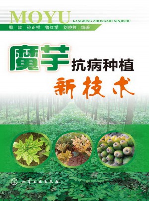 魔芋抗病種植新技術