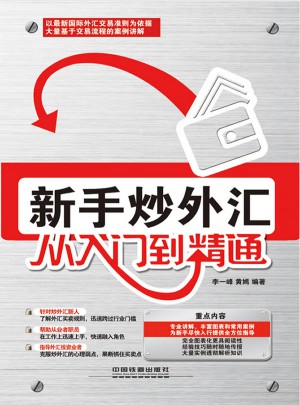 新手炒外匯從入門到精通