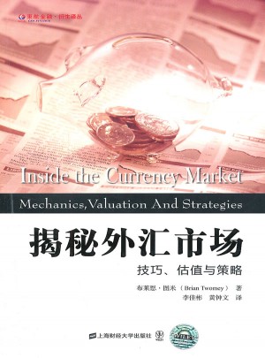 揭秘外匯市場(chǎng)：技巧、估值與策略（引進(jìn)版）