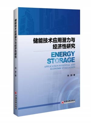 儲能技術應用潛力與經濟性研究