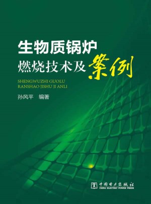 生物質鍋爐燃燒技術及案例