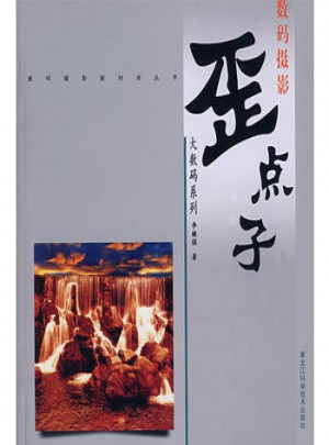 大數碼系列·歪點子