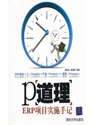 P道理·ERP項目實施手記