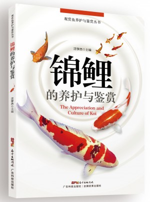 錦鯉的養護與鑒賞