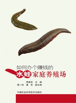 如何辦個賺錢的水蛭家庭養殖場
