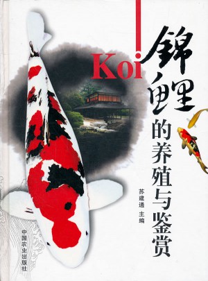 錦鯉的養殖與鑒賞