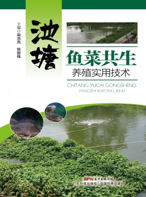 池塘魚菜共生養殖實用技術