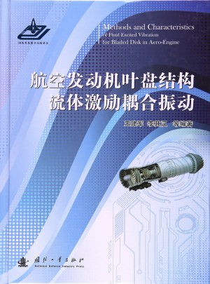 航空發動機葉盤結構流體激勵耦合振動