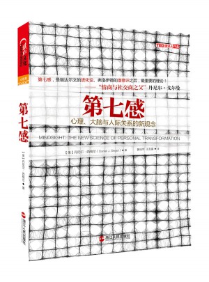 第七感：心理、大腦與人際關(guān)系的新觀念