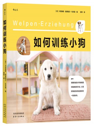 如何訓練小狗