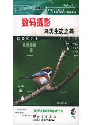 數碼攝影：鳥類生態之美