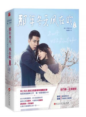 那年冬天，風在吹