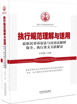 執行規范理解與適用