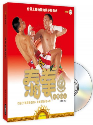 泰拳實戰技巧