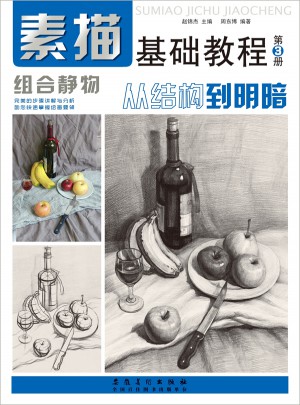 素描基礎(chǔ)教程.從結(jié)構(gòu)到明3組合靜物