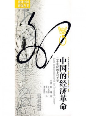 中國的經濟革命：二十世紀的鄉村工業