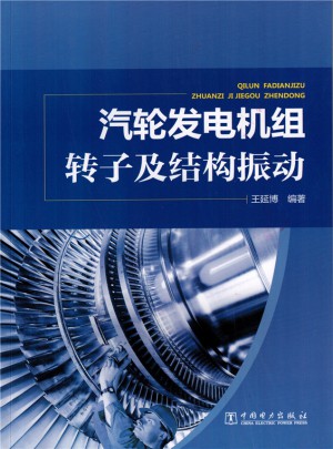 汽輪發電機組轉子及結構振動