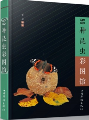 80種昆蟲彩圖館